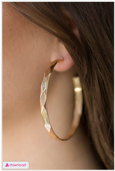 Hey, HAUTE Stuff - Gold Earrings