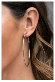 Sleek Fleek - Silver Earrings